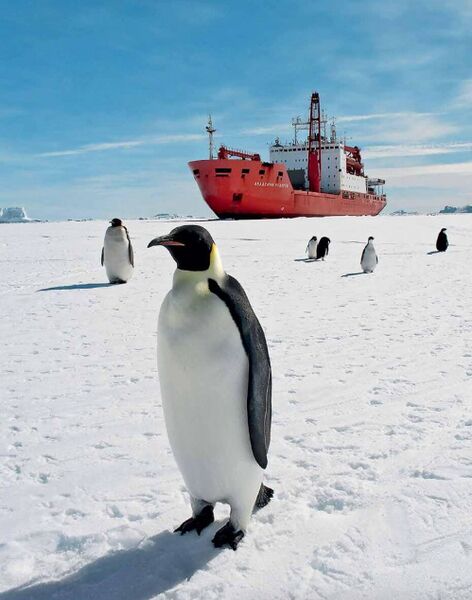 Файл:Photo 2024-01-28 19-52-14.jpg